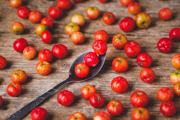 Babados cherry fruits-Malpighia glabra fruits