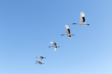 朝ごはんを食べにいこう