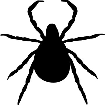 Tick Pest Insect