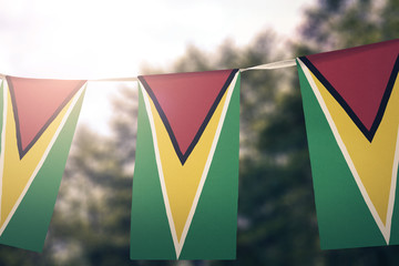 Guyana Guyana flag pennants