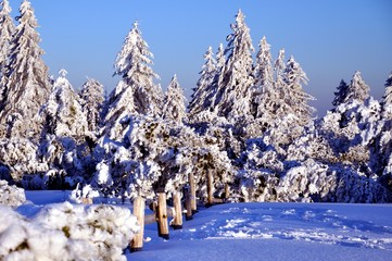 Zaun im Winter