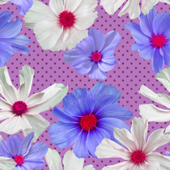 Seamless pattern from  cosmos flowers  on a background in polka dots, photorealistic collage.