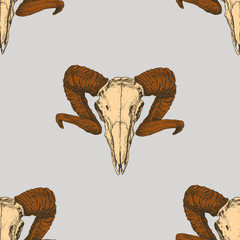 Skull of a horned animal. Vector seamless pattern. Hand drawn illustration