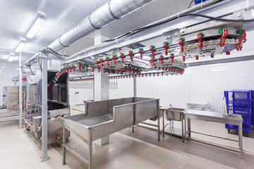 Technological line for primary processing of poultry, chicken carcasses 