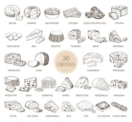 Foto op Plexiglas Set of isolated sketches of cheese types © Genzi