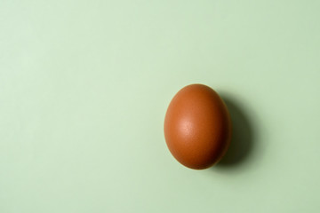 minimalism. one brown egg on light green background