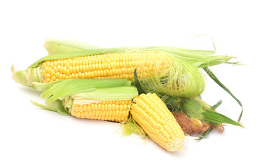 Fresh corn