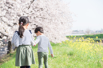 桜と子供