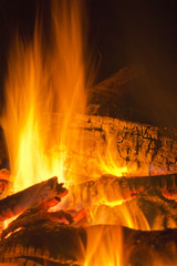 Fire on camping, firewood