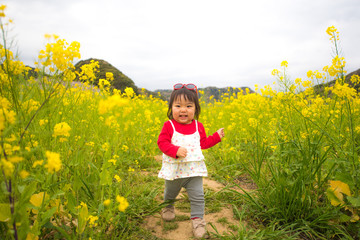 Fototapeta premium ・菜の花・サングラス・公園