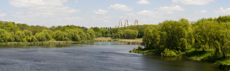 Fototapeta na wymiar Panorama of the pond landscape in Poltava, Ukraine