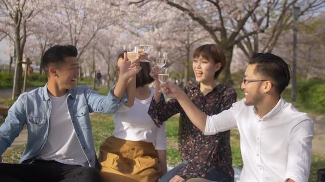 International picnic in Japan, celebrating spring together.