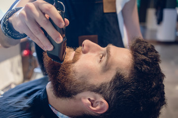 Obraz na płótnie Canvas Side view close-up of the head of a redhead young man and the hand of a skilled barber, trimming his beard with an electric trimmer in a trendy hair salon for men