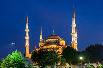 Fototapeta na wymiar Blue Mosque at Night in Istanbul