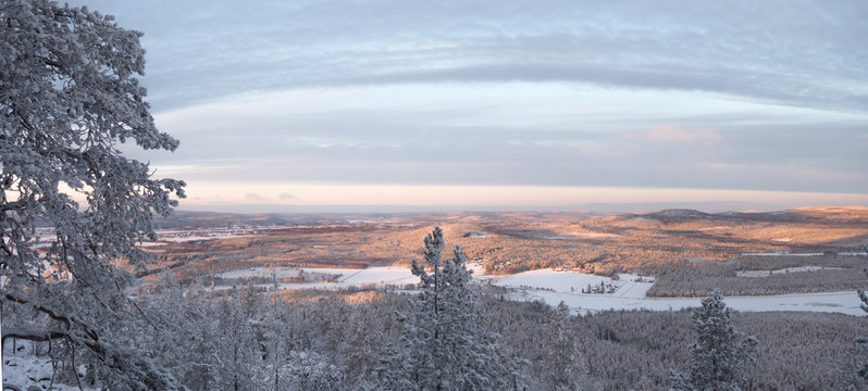 Snowy landscape view