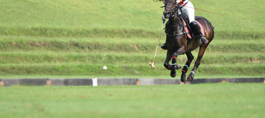 adies polo player are competing in polo field.