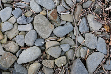 pebbles and twigs on a beach