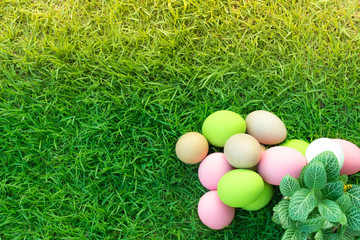 Fototapeta na wymiar Easter eggs on green grass in sunny days