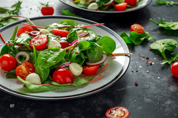 Fresh Cherry Tomato, Mozzarella salad with green lettuce mix and red onion. served on plate. healthy food.