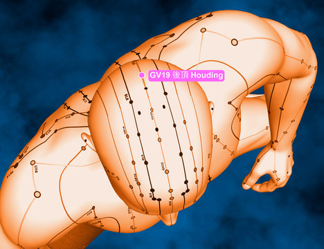 Acupuncture Point GV19 Houding, 3D Illustration, Blue Background