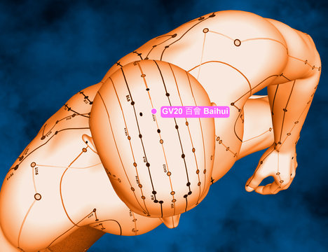 Acupuncture Point GV20 Baihui, 3D Illustration, Blue Background