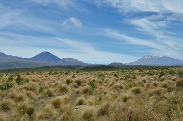 Mount Ngauruhoe and Mount Ruhapehu behind big wide field
