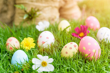 Happy easter!  Closeup Colorful Easter eggs in nest on green grass field during sunset background.