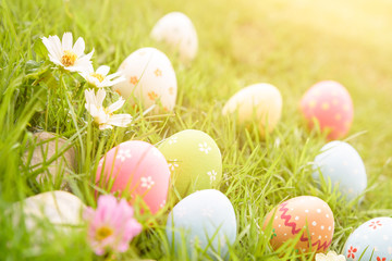 Happy easter!  Closeup Colorful Easter eggs in nest on green grass field during sunset background.