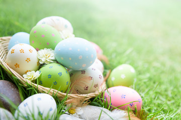 Happy easter!  Closeup Colorful Easter eggs in nest on green grass field during sunset background.