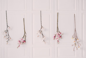 installation of blossoming tree branches on a white vintage wall, close-up