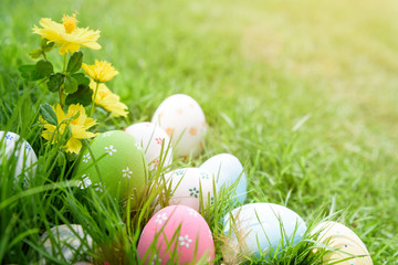 Happy easter!  Closeup Colorful Easter eggs in nest on green grass field during sunset background.