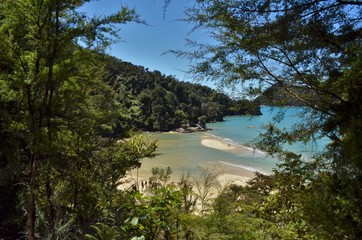 beautiful beach outlook framed with bush and trees