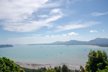 Sea and mountain trees