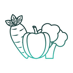 fruits and vegetables group vector illustration design