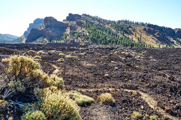 Kanarische Insel Teneriffa Nationalpark Teide 