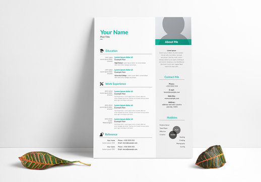 Resume Layout Set with Gray Sidebar and Teal Accents