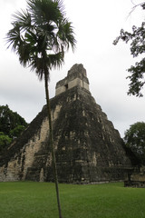 Tikal in Guatemala