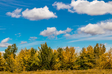 Fototapeta premium Fall in all it's colourful glory. Calgary, Alberta, Canada