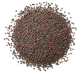 dried canola seeds isolated on white, top view