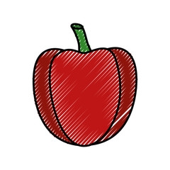 fresh pepper vegetable healthy vector illustration design