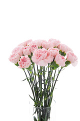 Happy Mother's Day, carnations representing mothers are in full bloom, and pink carnations are sent.