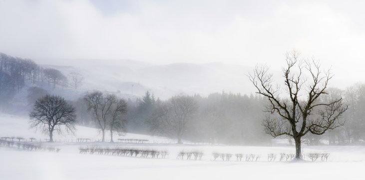 Winter North Ayrshire