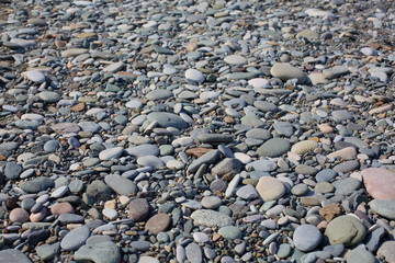 the texture of the pebbles