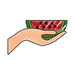 hand lifting fresh watermelon fruit healthy food vector illustration design
