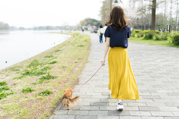女性 ペット 散歩