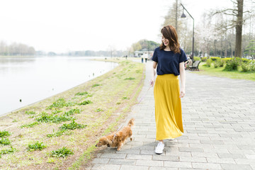女性 ペット 散歩