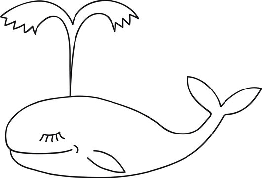 Hand Drawn Doodle Sketch Line Art Vector Illustration of Cute Whale Spouting Water. Emblem Poster Banner Black Outline Design Element Template