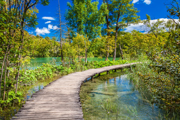 Fototapeta na wymiar walking path through the beautiful lake
