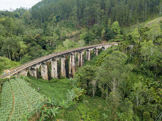 Fototapeta na wymiar Old railway in the jungle. Aerial View. Nine Arches Bridge is located in Demodara, Ella city, Sri Lanka.
