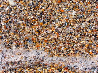 Textures of shells and sand on the sea shore, close up beautiful background and texture of nature sea shell pattern on a sand beach in the summer, seashell sand texture on the coastline, full frame